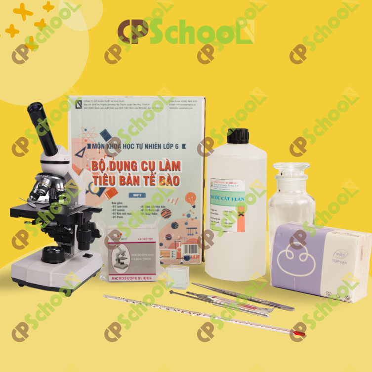 Bộ dụng cụ làm tiêu bản tế bào (bộ đầy đủ)